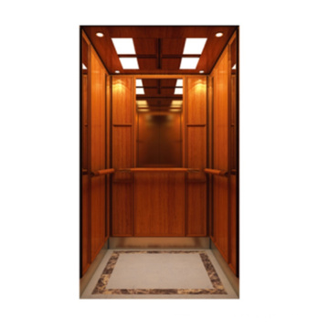 Unique Design Hot Sale Cheap Residential House Elevator